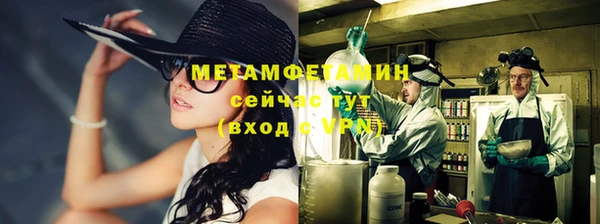 прущие грибы Каменка