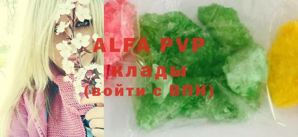прущие грибы Каменка