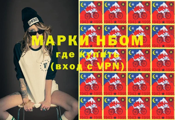 прущие грибы Каменка