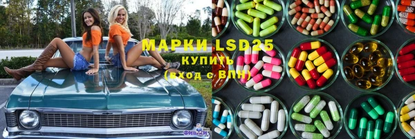 прущие грибы Каменка