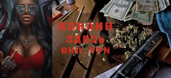 прущие грибы Каменка