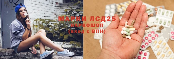 ПСИЛОЦИБИНОВЫЕ ГРИБЫ Каменногорск