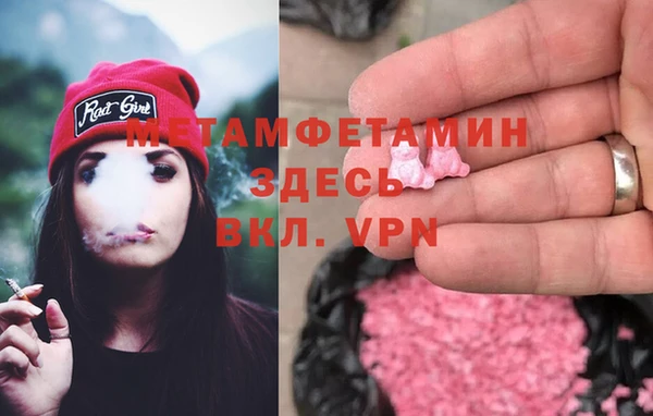 прущие грибы Каменка